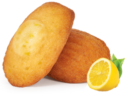 Madeleines Citron